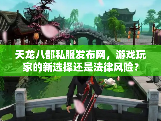 天龙八部私服发布网，游戏玩家的新选择还是法律风险？