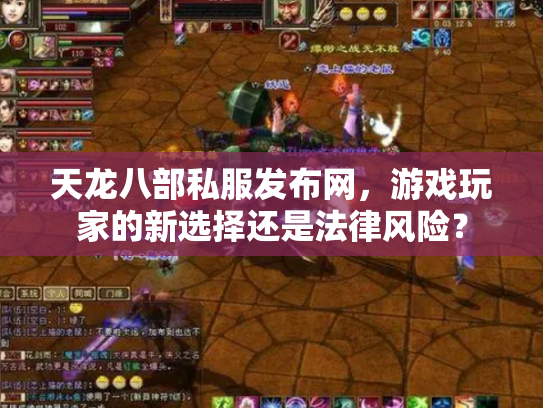 天龙八部私服发布网，游戏玩家的新选择还是法律风险？