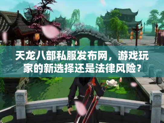 天龙八部私服发布网，游戏玩家的新选择还是法律风险？