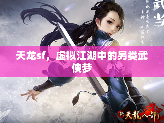 天龙sf，虚拟江湖中的另类武侠梦