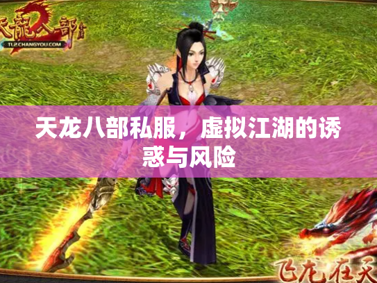 天龙八部私服，虚拟江湖的诱惑与风险