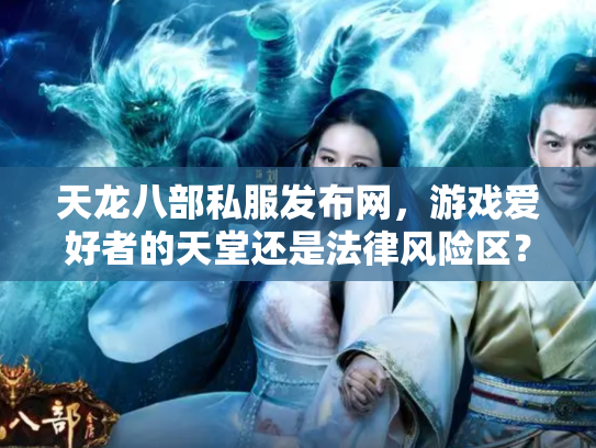 天龙八部私服发布网，游戏爱好者的天堂还是法律风险区？