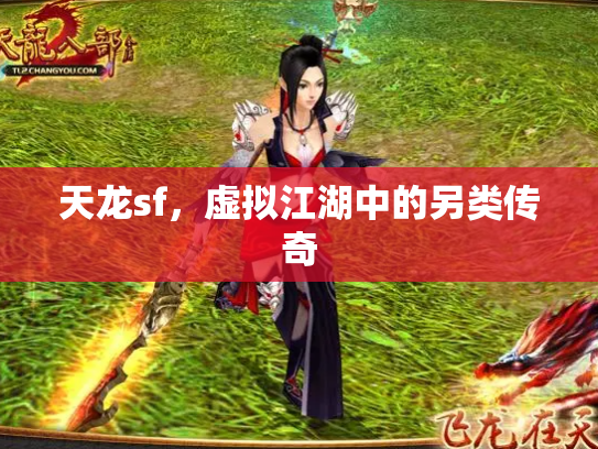 天龙sf，虚拟江湖中的另类传奇