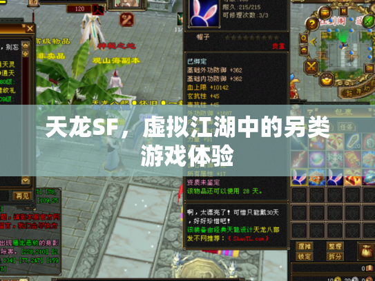 天龙SF，虚拟江湖中的另类游戏体验