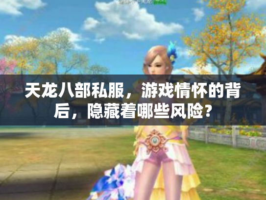 天龙八部私服，游戏情怀的背后，隐藏着哪些风险？