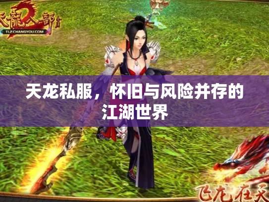 天龙私服，怀旧与风险并存的江湖世界