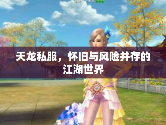 天龙私服，怀旧与风险并存的江湖世界