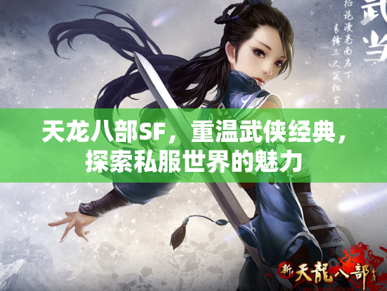 天龙八部SF，重温武侠经典，探索私服世界的魅力