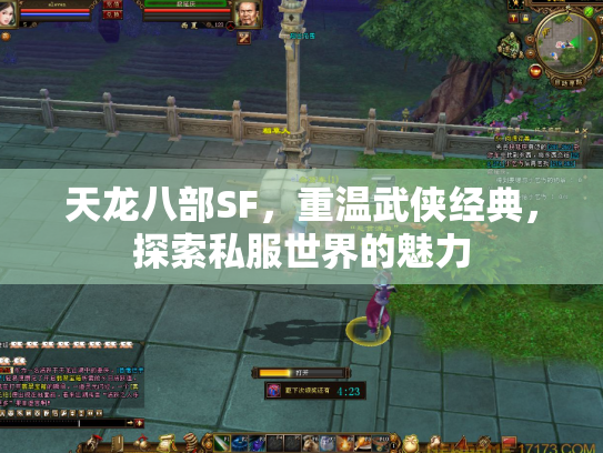 天龙八部SF，重温武侠经典，探索私服世界的魅力