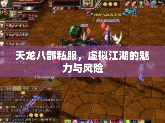 天龙八部私服，虚拟江湖的魅力与风险