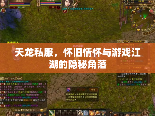 天龙私服，怀旧情怀与游戏江湖的隐秘角落