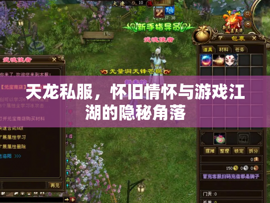 天龙私服，怀旧情怀与游戏江湖的隐秘角落