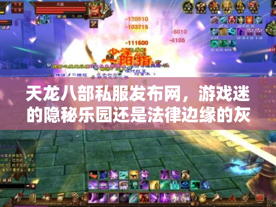 天龙八部私服发布网，游戏迷的隐秘乐园还是法律边缘的灰色地带？