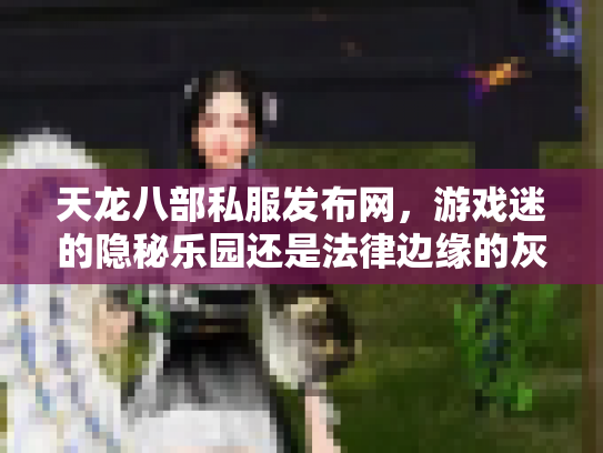 天龙八部私服发布网，游戏迷的隐秘乐园还是法律边缘的灰色地带？