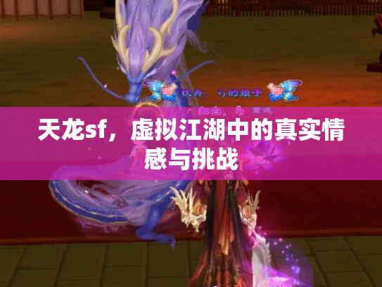 天龙sf，虚拟江湖中的真实情感与挑战