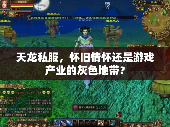 天龙私服，怀旧情怀还是游戏产业的灰色地带？