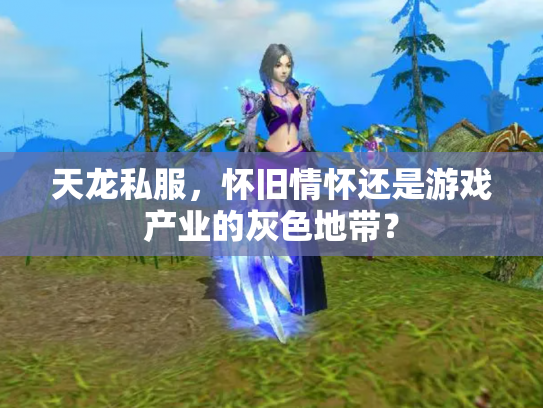 天龙私服，怀旧情怀还是游戏产业的灰色地带？