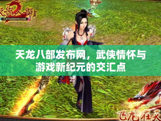 天龙八部发布网，武侠情怀与游戏新纪元的交汇点