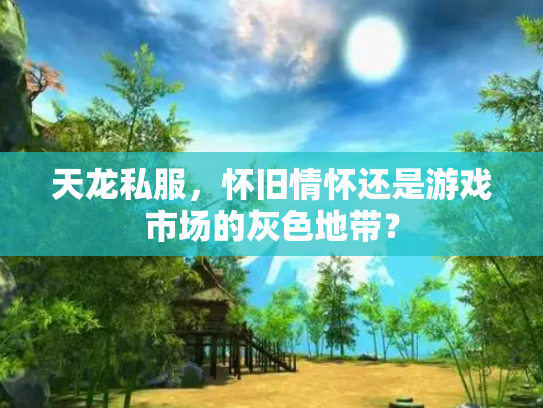 天龙私服，怀旧情怀还是游戏市场的灰色地带？