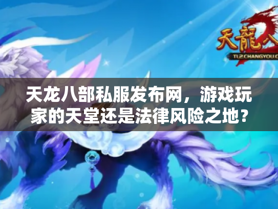 天龙八部私服发布网，游戏玩家的天堂还是法律风险之地？