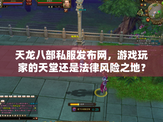 天龙八部私服发布网，游戏玩家的天堂还是法律风险之地？
