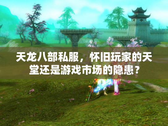 天龙八部私服，怀旧玩家的天堂还是游戏市场的隐患？