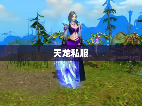 天龙私服