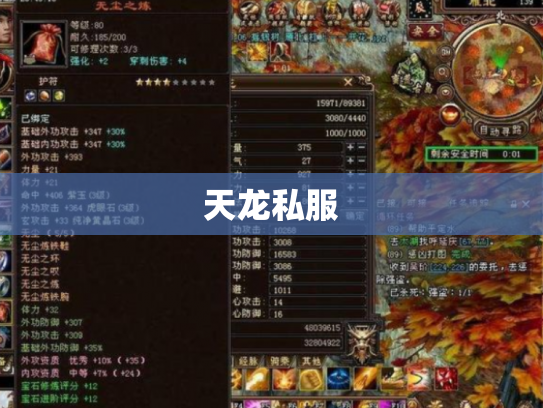 天龙私服