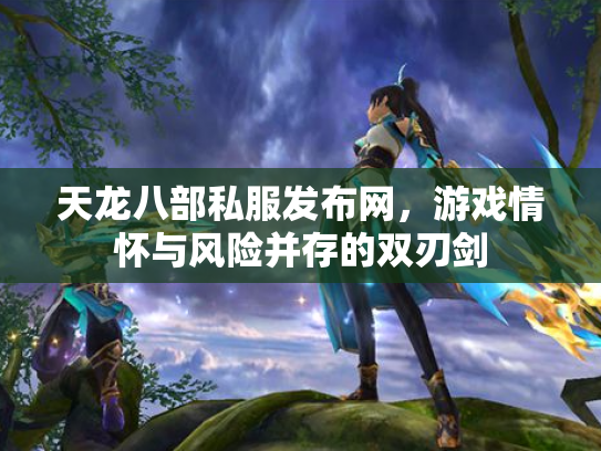天龙八部私服发布网，游戏情怀与风险并存的双刃剑