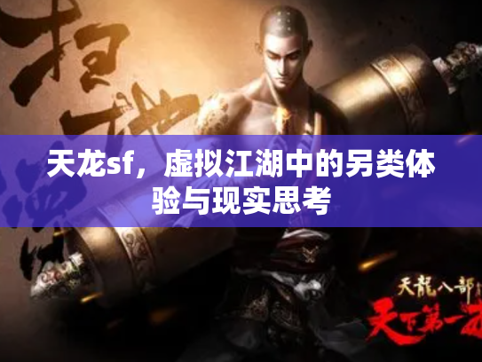 天龙sf，虚拟江湖中的另类体验与现实思考