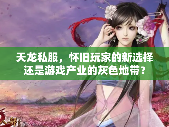 天龙私服，怀旧玩家的新选择还是游戏产业的灰色地带？