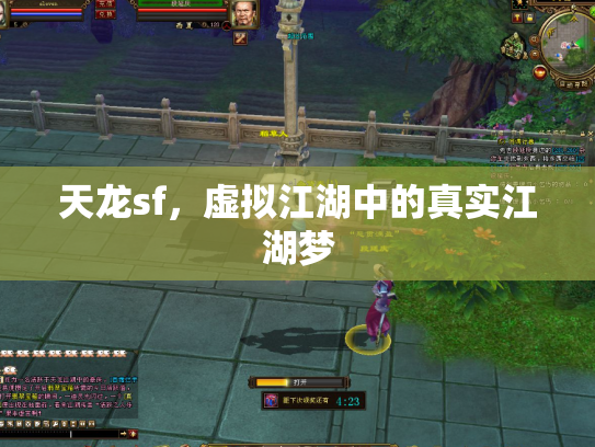 天龙sf，虚拟江湖中的真实江湖梦
