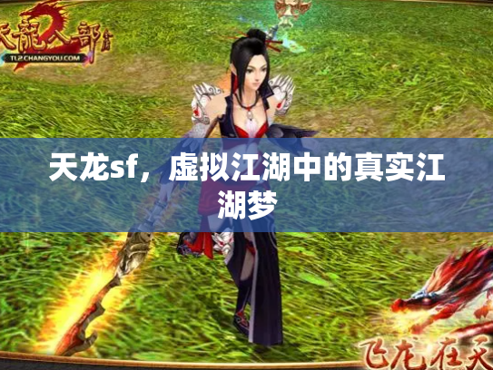 天龙sf，虚拟江湖中的真实江湖梦