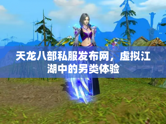 天龙八部私服发布网，虚拟江湖中的另类体验