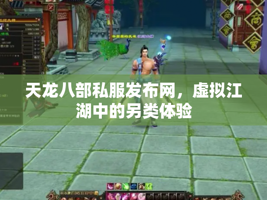 天龙八部私服发布网，虚拟江湖中的另类体验