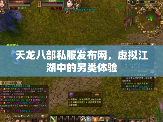 天龙八部私服发布网，虚拟江湖中的另类体验