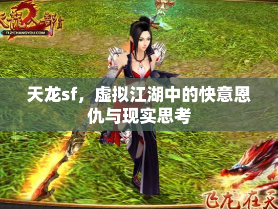 天龙sf，虚拟江湖中的快意恩仇与现实思考