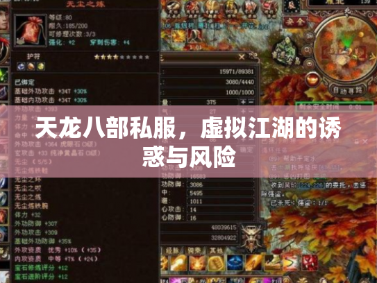 天龙八部私服，虚拟江湖的诱惑与风险