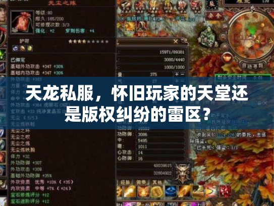 天龙私服，怀旧玩家的天堂还是版权纠纷的雷区？