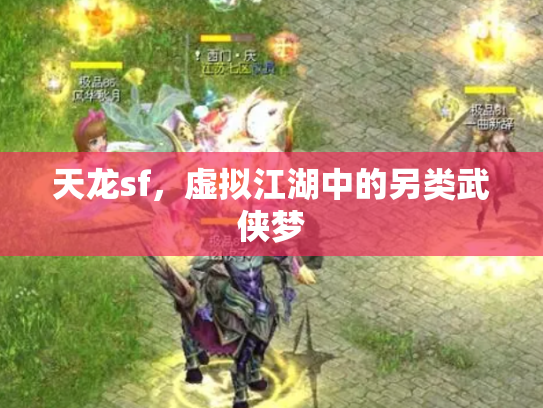 天龙sf，虚拟江湖中的另类武侠梦