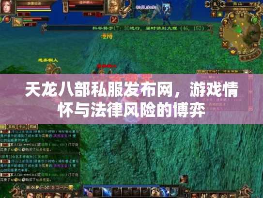 天龙八部私服发布网，游戏情怀与法律风险的博弈