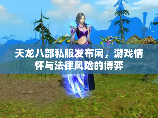 天龙八部私服发布网，游戏情怀与法律风险的博弈