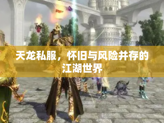 天龙私服，怀旧与风险并存的江湖世界