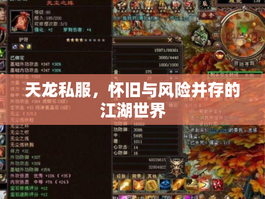 天龙私服，怀旧与风险并存的江湖世界