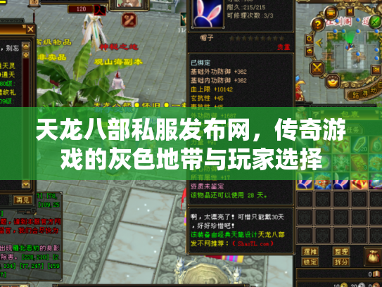 天龙八部私服发布网，传奇游戏的灰色地带与玩家选择