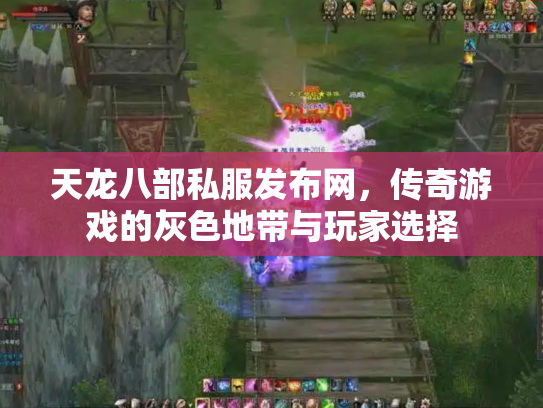 天龙八部私服发布网，传奇游戏的灰色地带与玩家选择