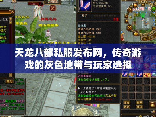 天龙八部私服发布网，传奇游戏的灰色地带与玩家选择