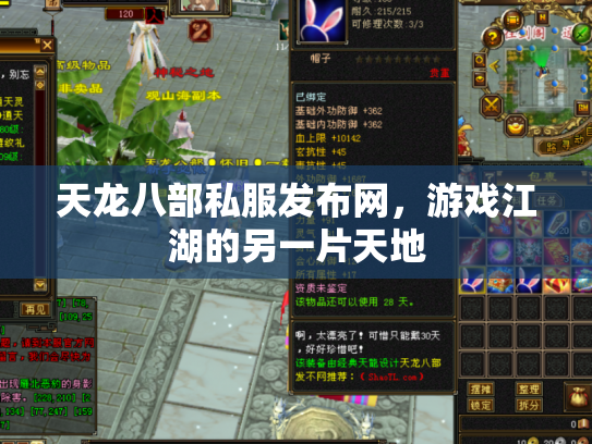 天龙八部私服发布网，游戏江湖的另一片天地