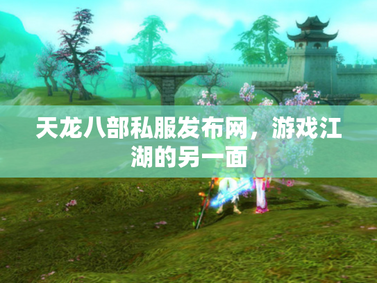 天龙八部私服发布网，游戏江湖的另一面
