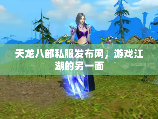 天龙八部私服发布网，游戏江湖的另一面